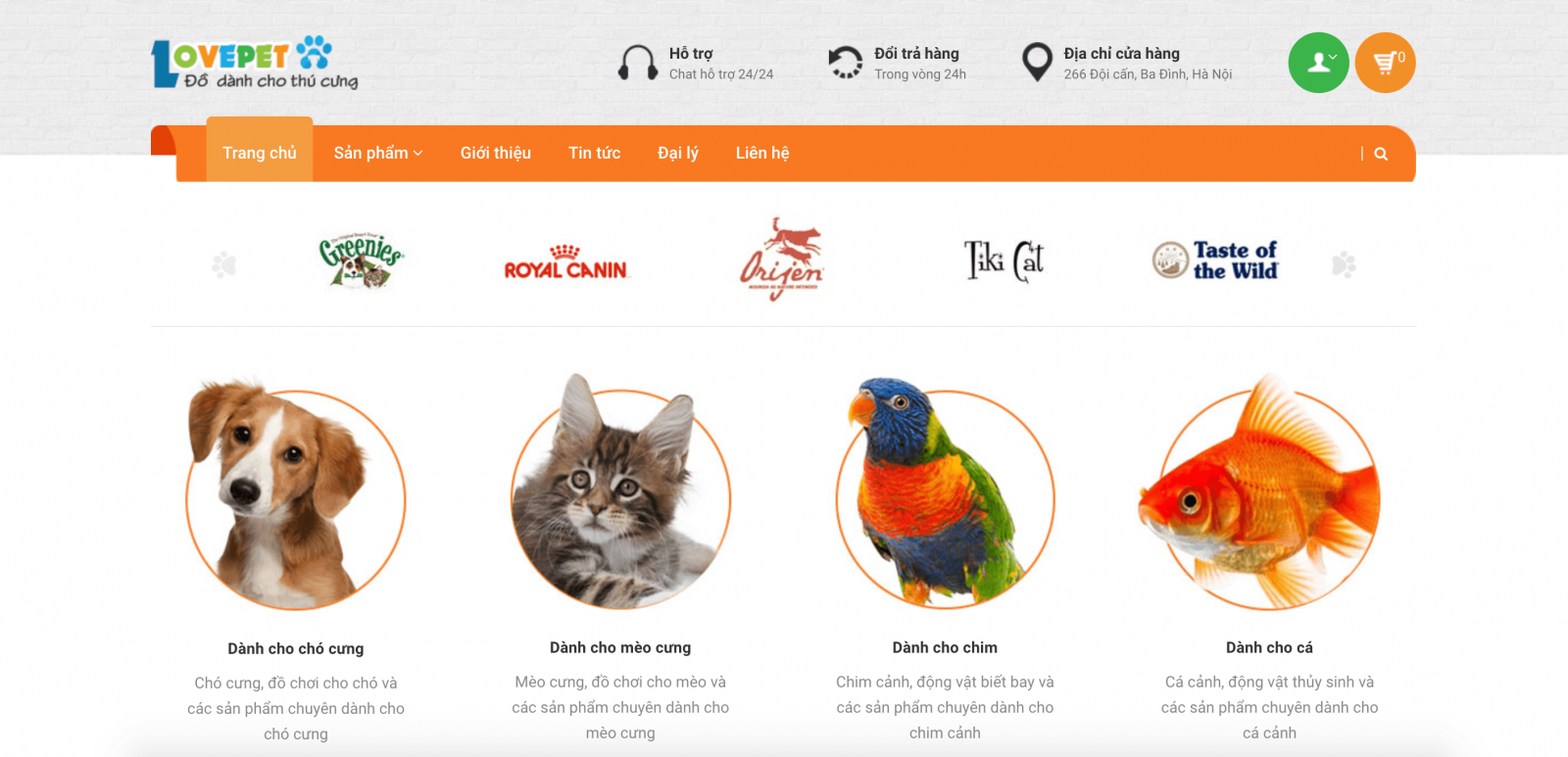 Thiết kế website thú cưng, bán phụ kiên pet