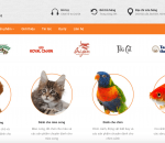 Thiết kế website thú cưng, bán phụ kiện pet